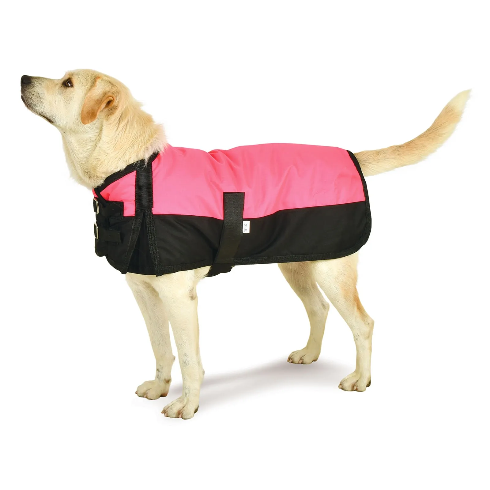 Premium Winter Dog Coat by Jeffers